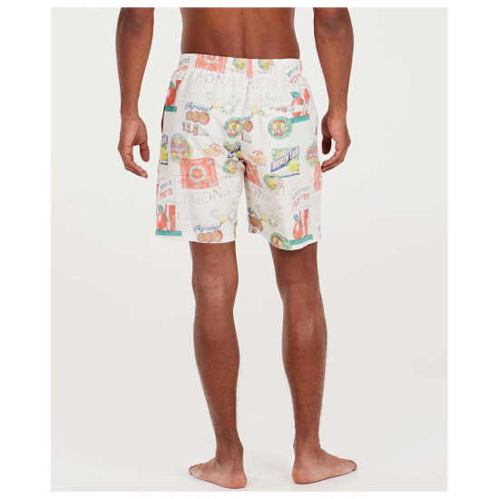 Protest Ανδρικό μαγιό Prtguno Beachshorts
